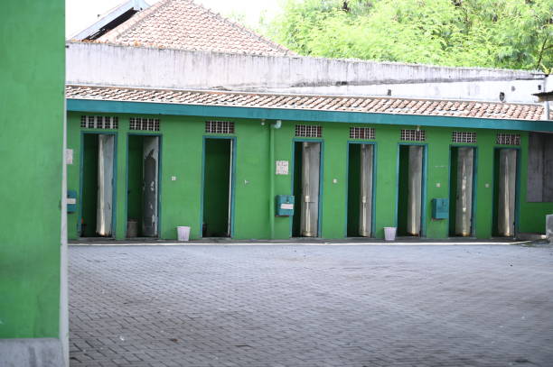 Best Sanitation services for porta potties  in Fmington, AR